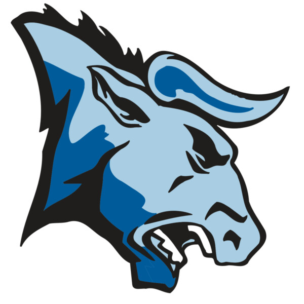 AR BULL 20 RC Thumbnail