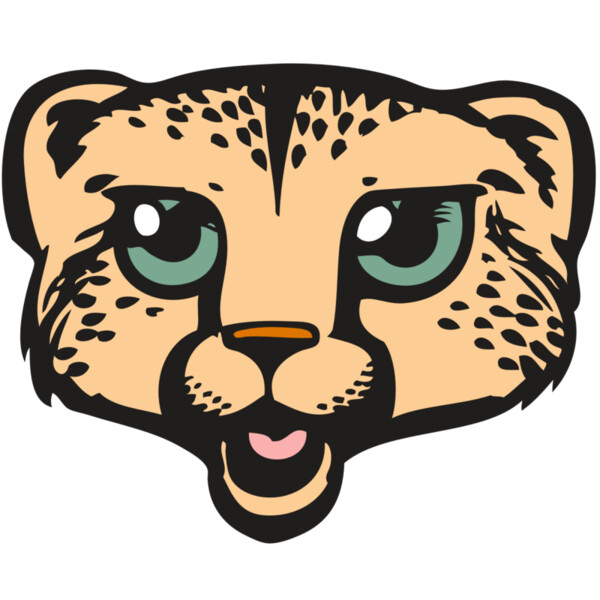 BAW CHEETAH 18 RC Thumbnail