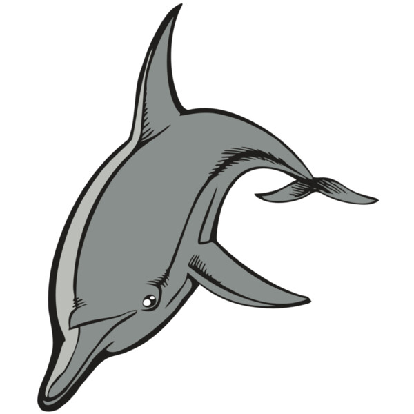 BAW DOLPHIN 03 RC Thumbnail