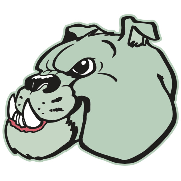 AR BDOG 29 RC Thumbnail