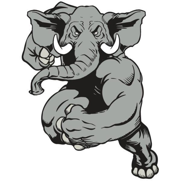 AR ELEPH 18 RC Thumbnail