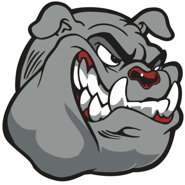 AR BDOG 13 RC Thumbnail