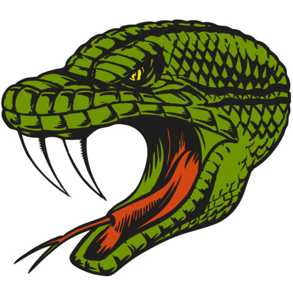 BAW SNAKE 14 RC Thumbnail