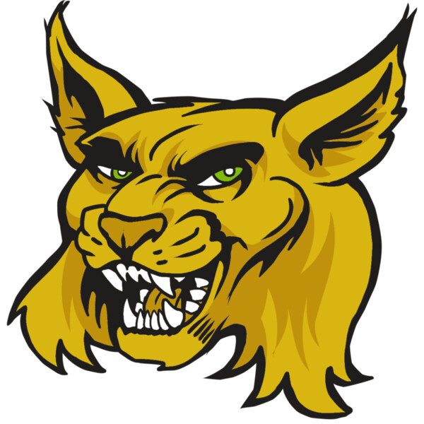 AR30 WILDCAT 03 RQC Thumbnail