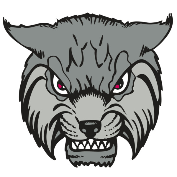 BAW BOBCAT 02 RC Thumbnail