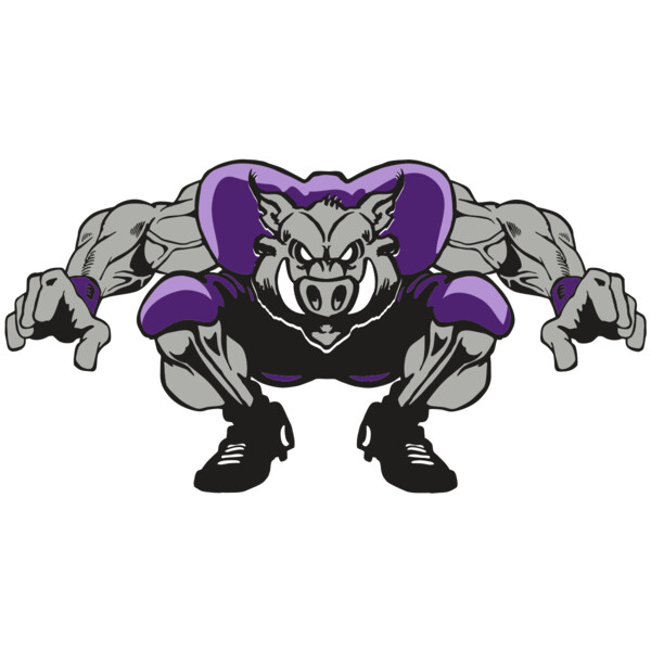 AR RAZORBACK 28 RC Thumbnail