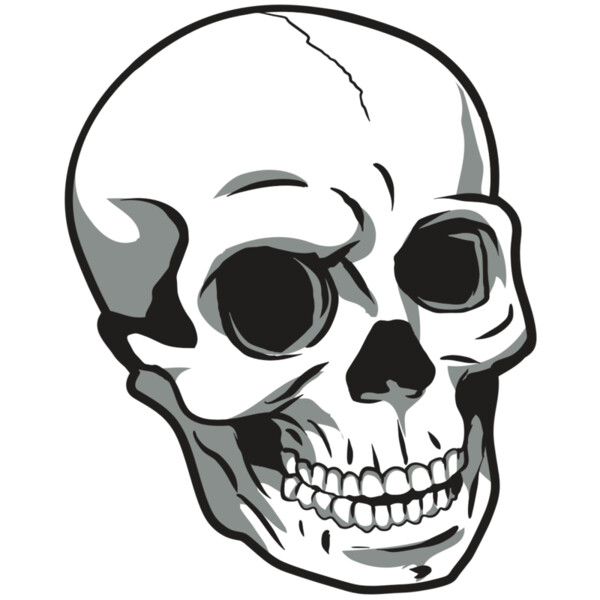 AR24 SKULL 14 RQC Thumbnail